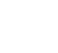 ARK Leads